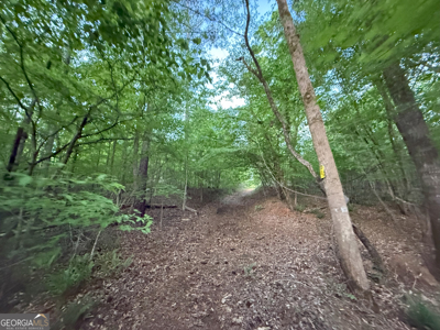 760 Mallorysville Road Tignall, GA - image 14