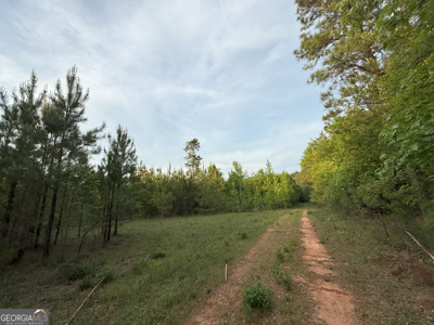 760 Mallorysville Road Tignall, GA - image 11