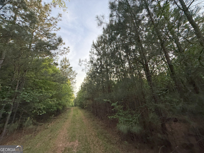 760 Mallorysville Road Tignall, GA - image 19