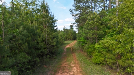 760 Mallorysville Road Tignall, GA - image 15