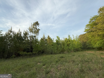 760 Mallorysville Road Tignall, GA - image 6