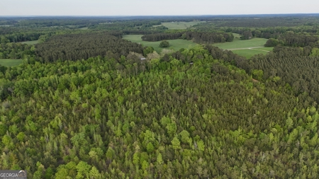 760 Mallorysville Road Tignall, GA - image 25