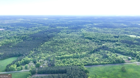 760 Mallorysville Road Tignall, GA - image 10