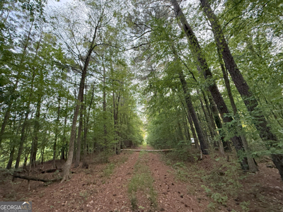 760 Mallorysville Road Tignall, GA - image 22