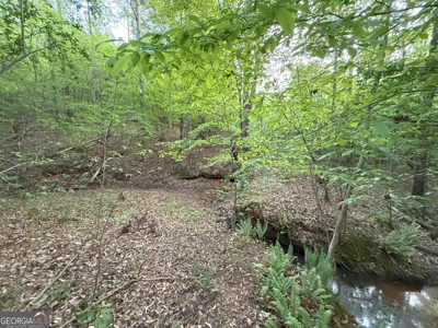 760 Mallorysville Road Tignall, GA - image 20