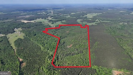 760 Mallorysville Road Tignall, GA - image 3