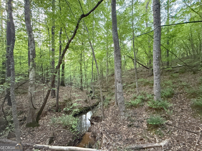 760 Mallorysville Road Tignall, GA - image 16