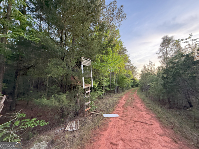 760 Mallorysville Road Tignall, GA - image 17