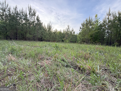 760 Mallorysville Road Tignall, GA - image 21