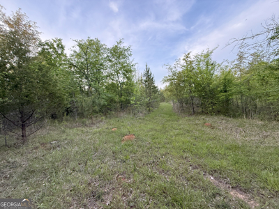 760 Mallorysville Road Tignall, GA - image 18