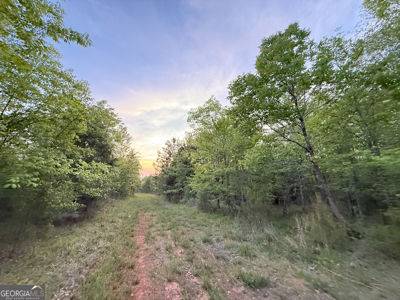 760 Mallorysville Road Tignall, GA - image 12