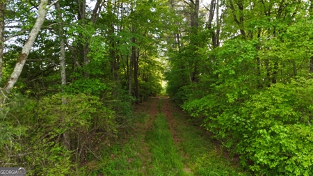 760 Mallorysville Road Tignall, GA - image 24