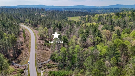 Large Lot For Sale With Lake Access - Caldwell County NC - image 7