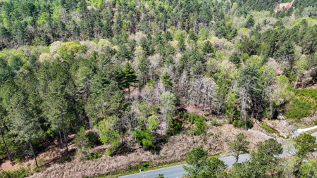 Large Lot For Sale With Lake Access - Caldwell County NC - image 12