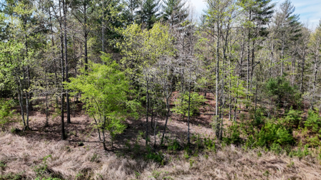 Large Lot For Sale With Lake Access - Caldwell County NC - image 13