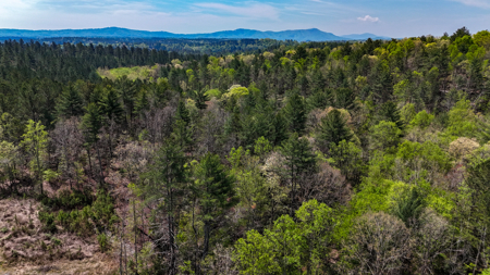 Large Lot For Sale With Lake Access - Caldwell County NC - image 10