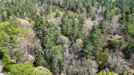 Large Lot For Sale With Lake Access - Caldwell County NC - image 15