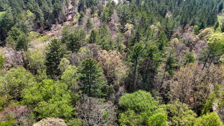 Large Lot For Sale With Lake Access - Caldwell County NC - image 11