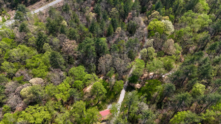 Large Lot For Sale With Lake Access - Caldwell County NC - image 16