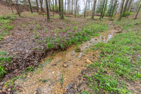 Home for Sale on Private, Wooded Lot in Lawrenceburg, Tennessee - image 33