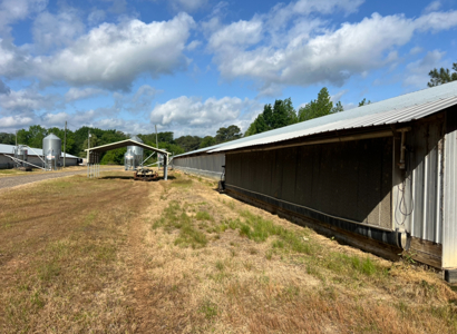 Louisiana Poultry Breeder Farm on 16 Acres - Shongaloo, LA - image 18