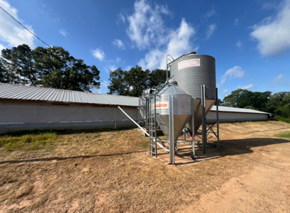 Louisiana Poultry Breeder Farm on 16 Acres - Shongaloo, LA - image 7