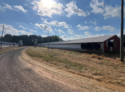 Louisiana Poultry Breeder Farm on 16 Acres - Shongaloo, LA - image 16