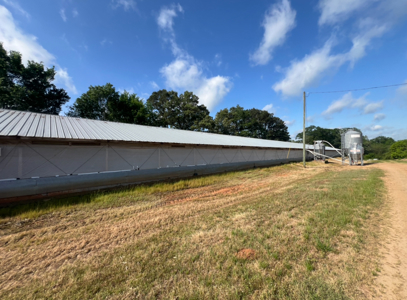 Louisiana Poultry Breeder Farm on 16 Acres - Shongaloo, LA - image 8