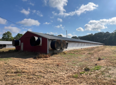 Louisiana Poultry Breeder Farm on 16 Acres - Shongaloo, LA - image 9