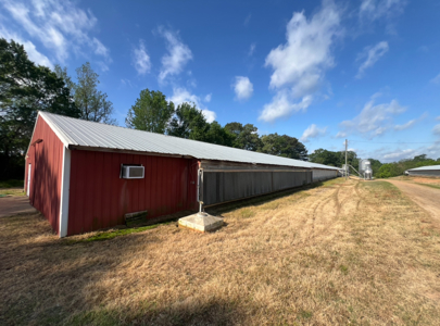Louisiana Poultry Breeder Farm on 16 Acres - Shongaloo, LA - image 6