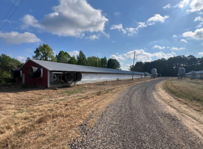 Louisiana Poultry Breeder Farm on 16 Acres - Shongaloo, LA - image 11