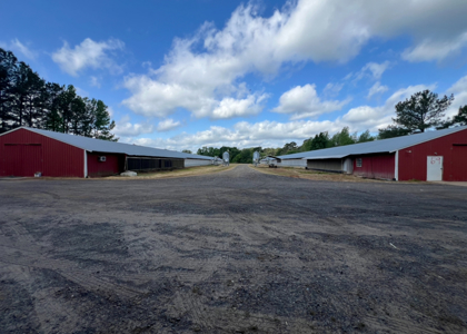 Louisiana Poultry Breeder Farm on 16 Acres - Shongaloo, LA - image 2