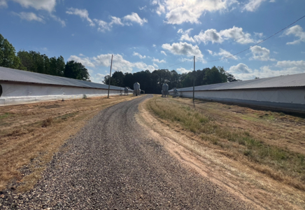 Louisiana Poultry Breeder Farm on 16 Acres - Shongaloo, LA - image 14