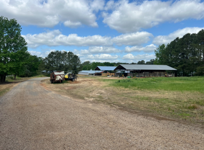 Louisiana Poultry Breeder Farm on 16 Acres - Shongaloo, LA - image 37