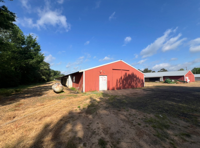 Louisiana Poultry Breeder Farm on 16 Acres - Shongaloo, LA - image 4