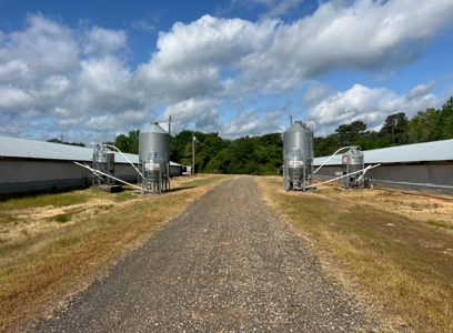 Louisiana Poultry Breeder Farm on 16 Acres - Shongaloo, LA - image 19