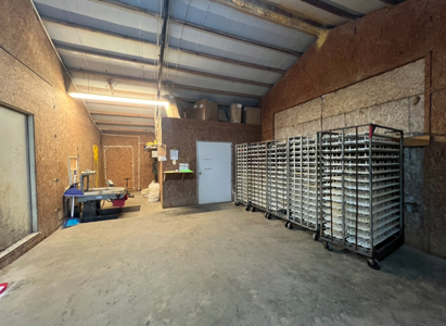 Louisiana Poultry Breeder Farm on 16 Acres - Shongaloo, LA - image 25