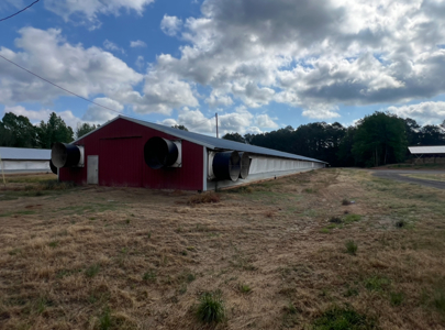 Louisiana Poultry Breeder Farm on 16 Acres - Shongaloo, LA - image 3