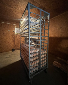 Louisiana Poultry Breeder Farm on 16 Acres - Shongaloo, LA - image 27
