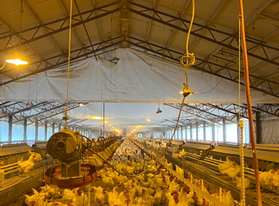 Louisiana Poultry Breeder Farm on 16 Acres - Shongaloo, LA - image 30