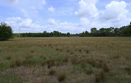 Land For Sale in Hartsville, SC - image 1
