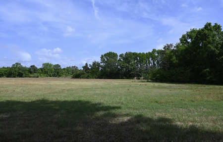 Land For Sale in Hartsville, SC - image 25