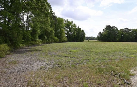 Land For Sale in Hartsville, SC - image 29