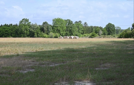 Land For Sale in Hartsville, SC - image 27