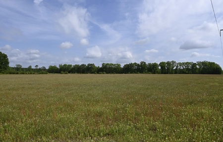 Land For Sale in Hartsville, SC - image 18