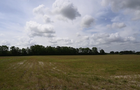 Land For Sale in Hartsville, SC - image 12