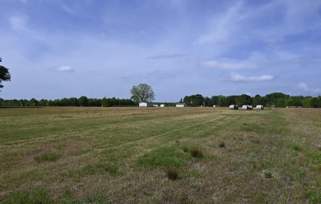 Land For Sale in Hartsville, SC - image 3