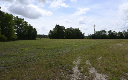 Land For Sale in Hartsville, SC - image 15