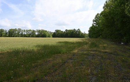 Land For Sale in Hartsville, SC - image 17