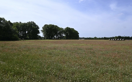 Land For Sale in Hartsville, SC - image 22